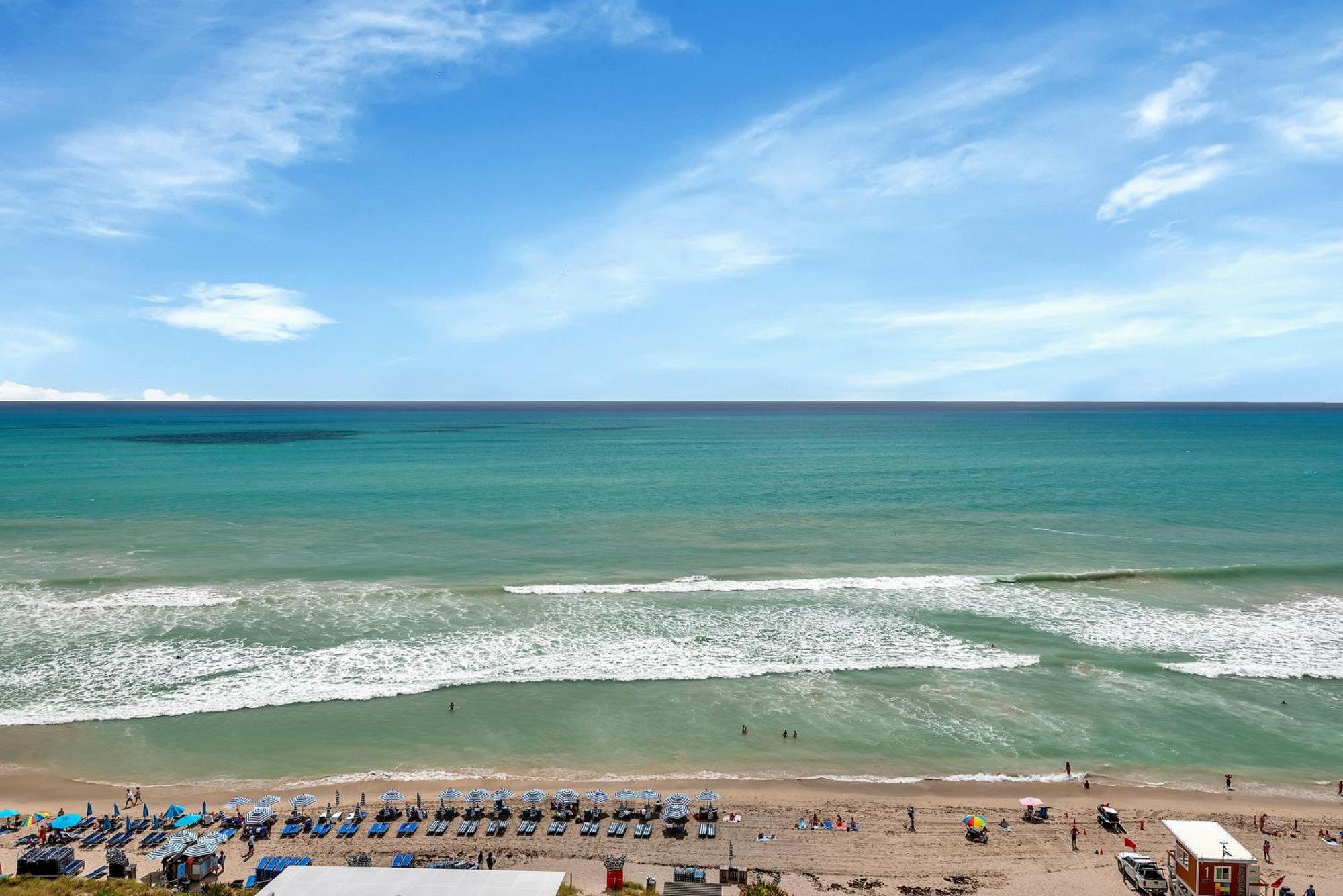 203-1Br/1Ba At The Beach Gem! Lux Amenities! Hollywood Eksteriør billede